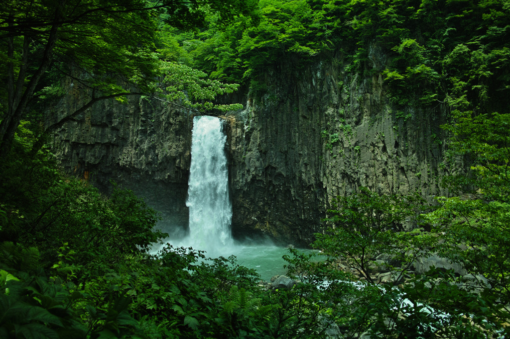 新潟