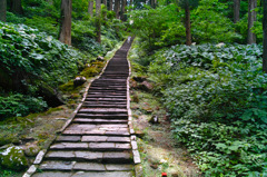山形