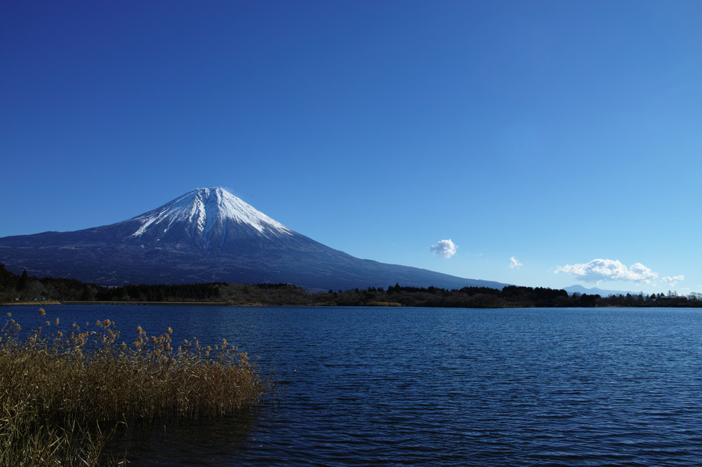静岡