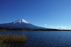 静岡