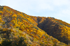 岩手