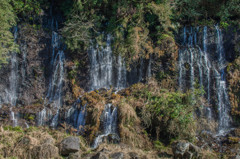 静岡