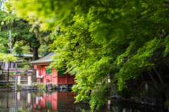 静岡