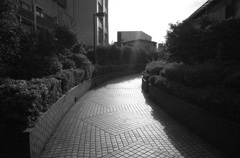 石畳の河