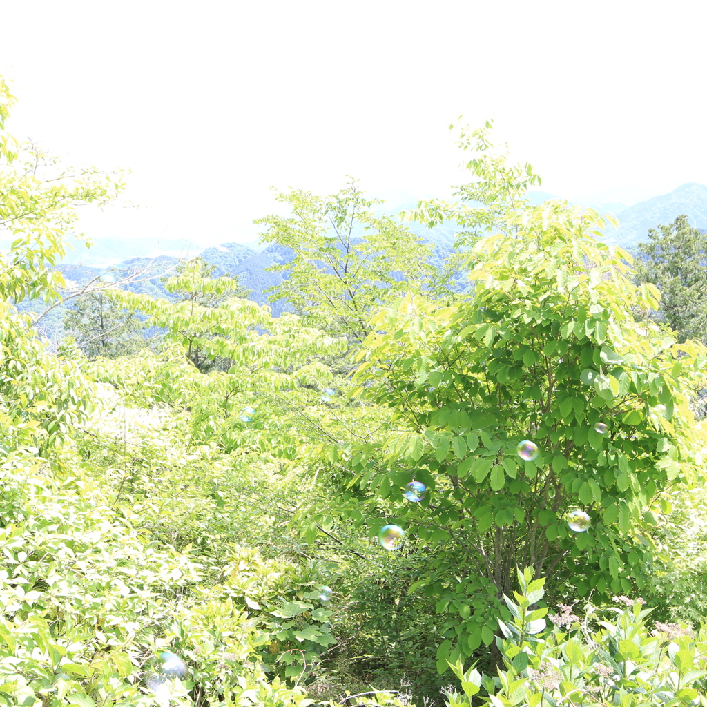 山とシャボン玉
