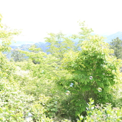 山とシャボン玉