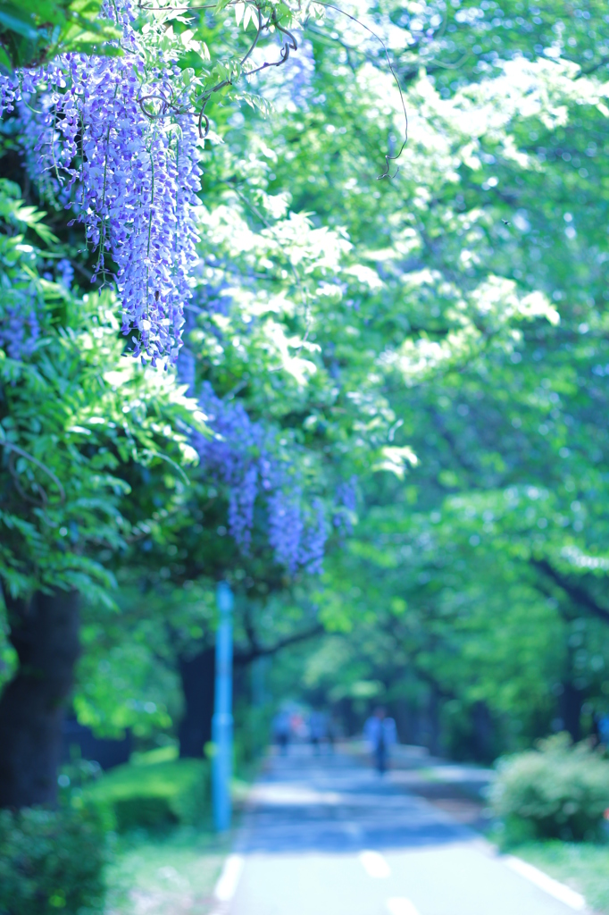 グリーンシャワー