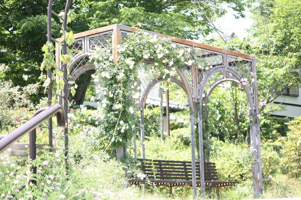 garden