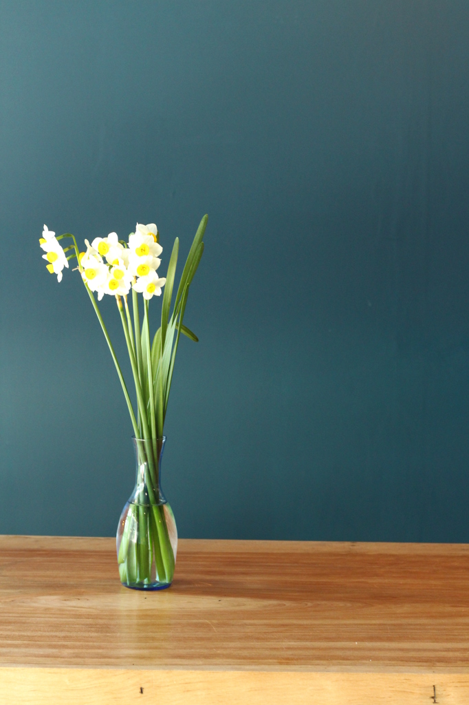 す～～っと。。。