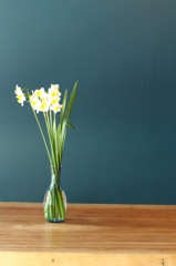 す～～っと。。。