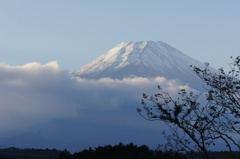 Mt. Fuji