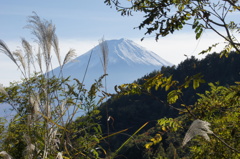 Mt. Fuji