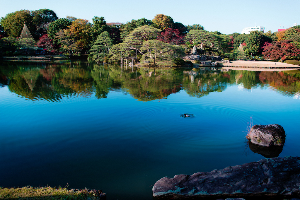 公園