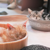 W熟成中