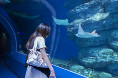 水中とんねる