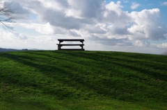 Green×Bench
