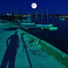 ～Bark at the Moon～