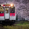 ～花の雲～ 桜駅