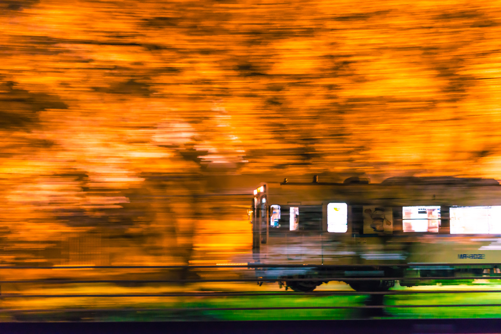～ 夜桜 Train ～