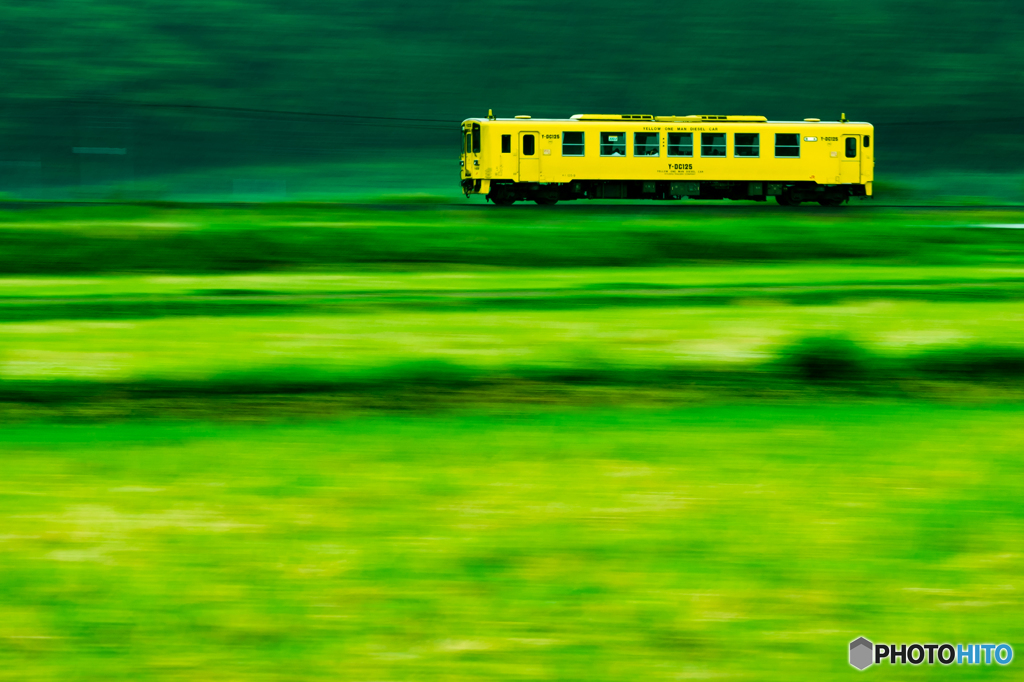 ～GREEN FIELD～