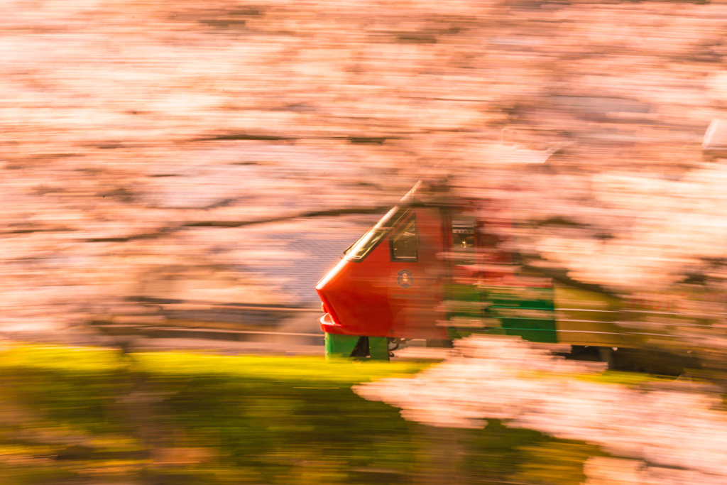 ～カケヌケル桜風～