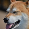 ～ねむい？～