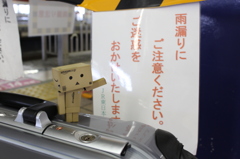 ダンボーonあめりかんふらいやー。