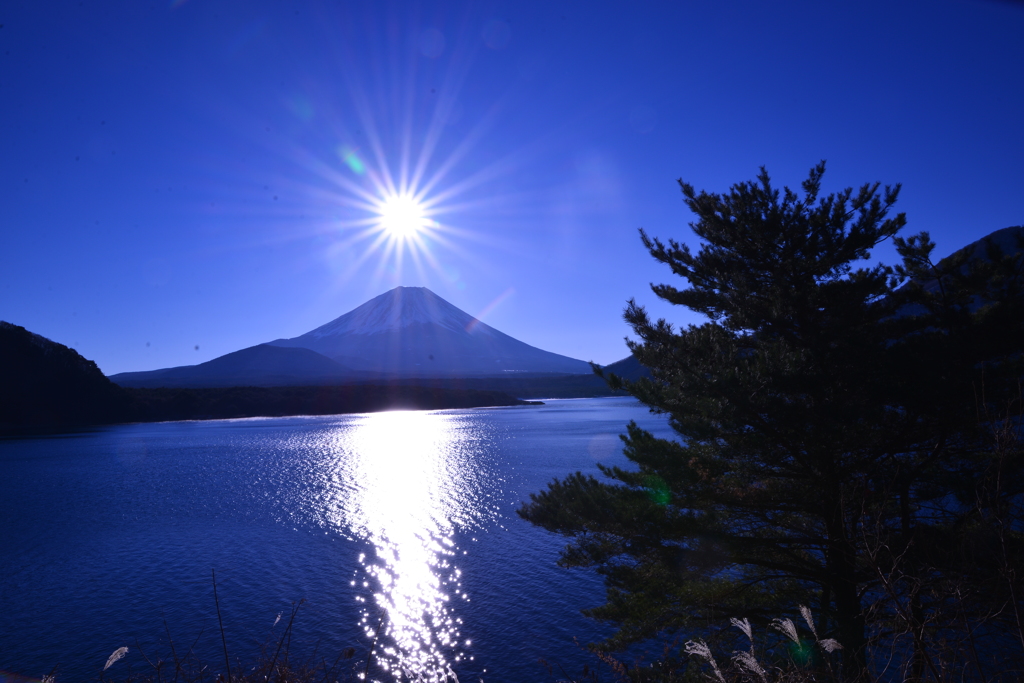 FUJIYAMA5