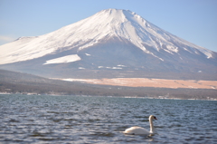 FUJIYAMA6
