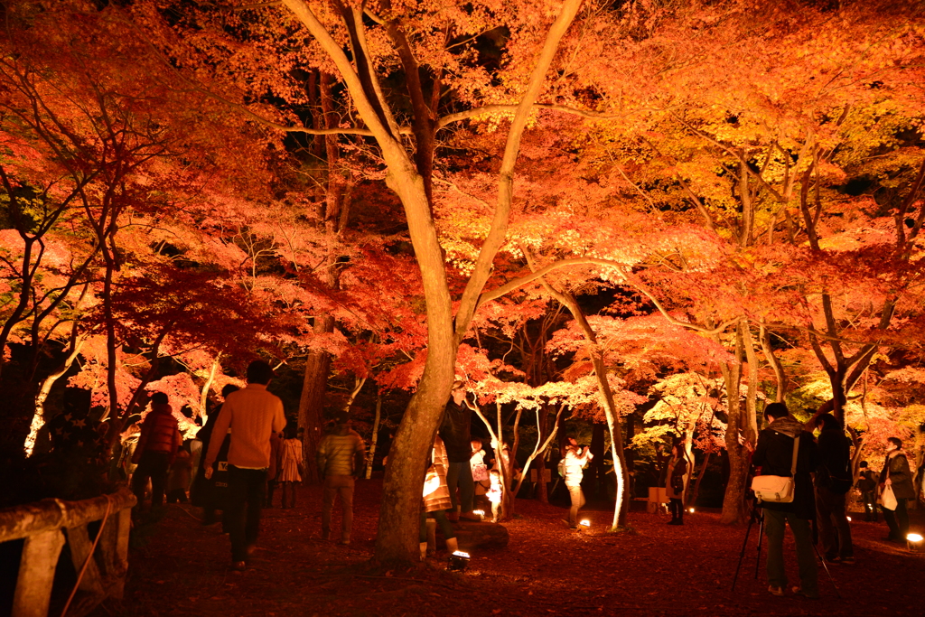 月の石もみじ公園
