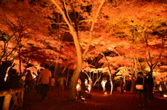 月の石もみじ公園