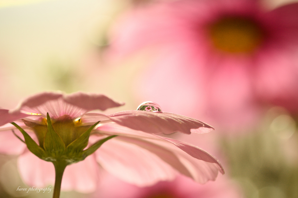 see you...