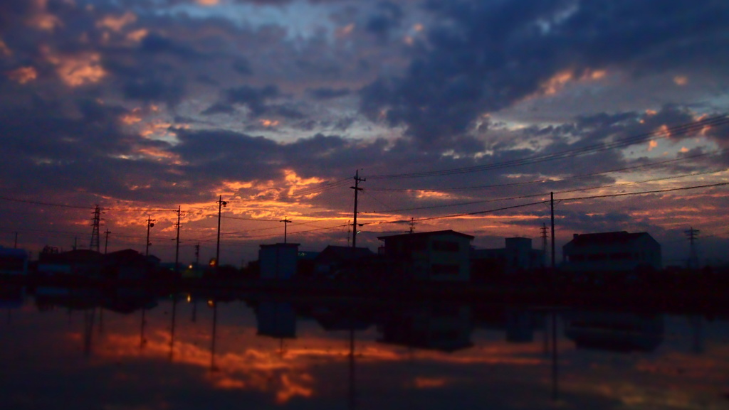 田んぼ夕日2