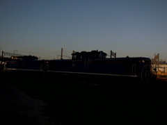 DSCN0292