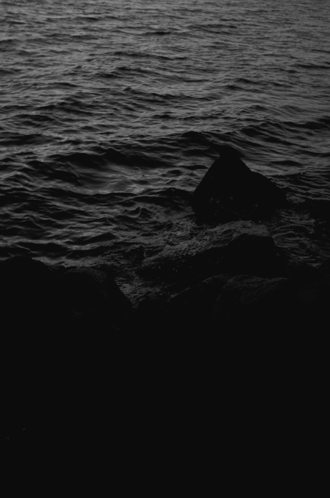 _CSC7496