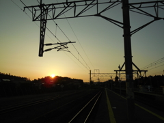 DSCN0377
