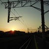 DSCN0377
