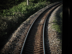 DSCN0345