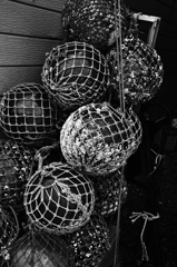 _DSC5519