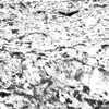 _DSC5211