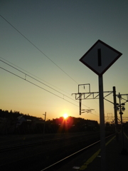 DSCN0376