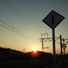 DSCN0376