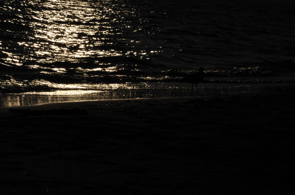 _DSC7327_