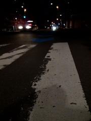 DSCN0257