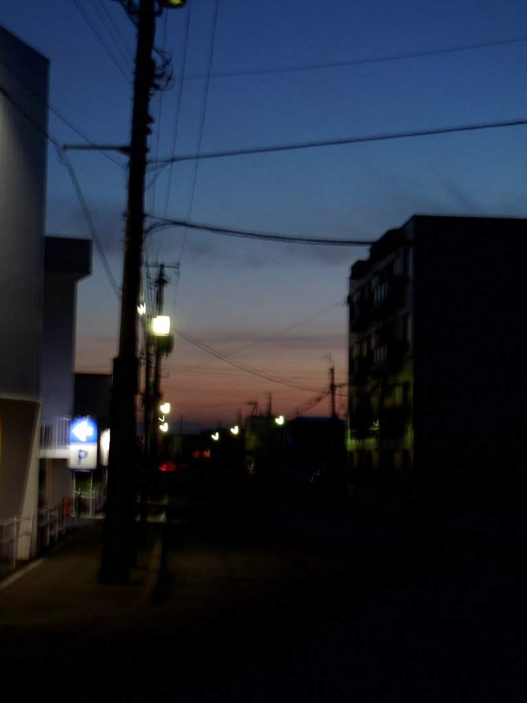 DSCN0300