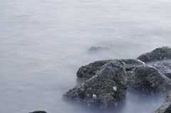 _DSC7480