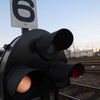 DSCN0295