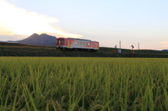 彼岸の夕陽をあびて