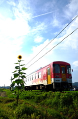 「夏」をゆく