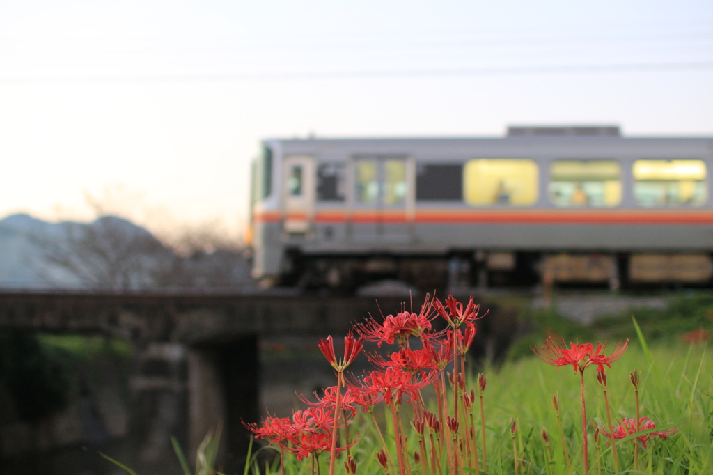 彼岸の暮れにたたずむ